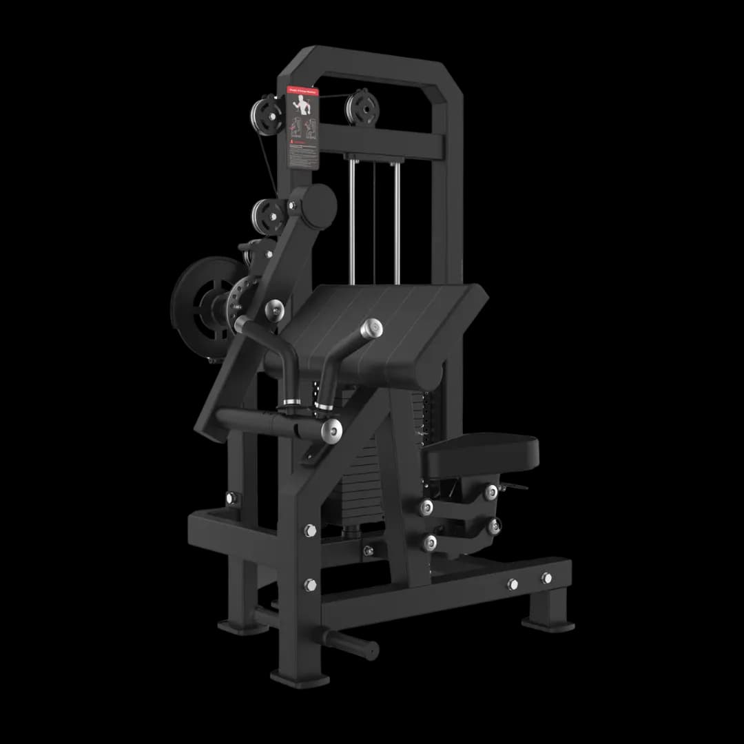 Biceps & Triceps Extention