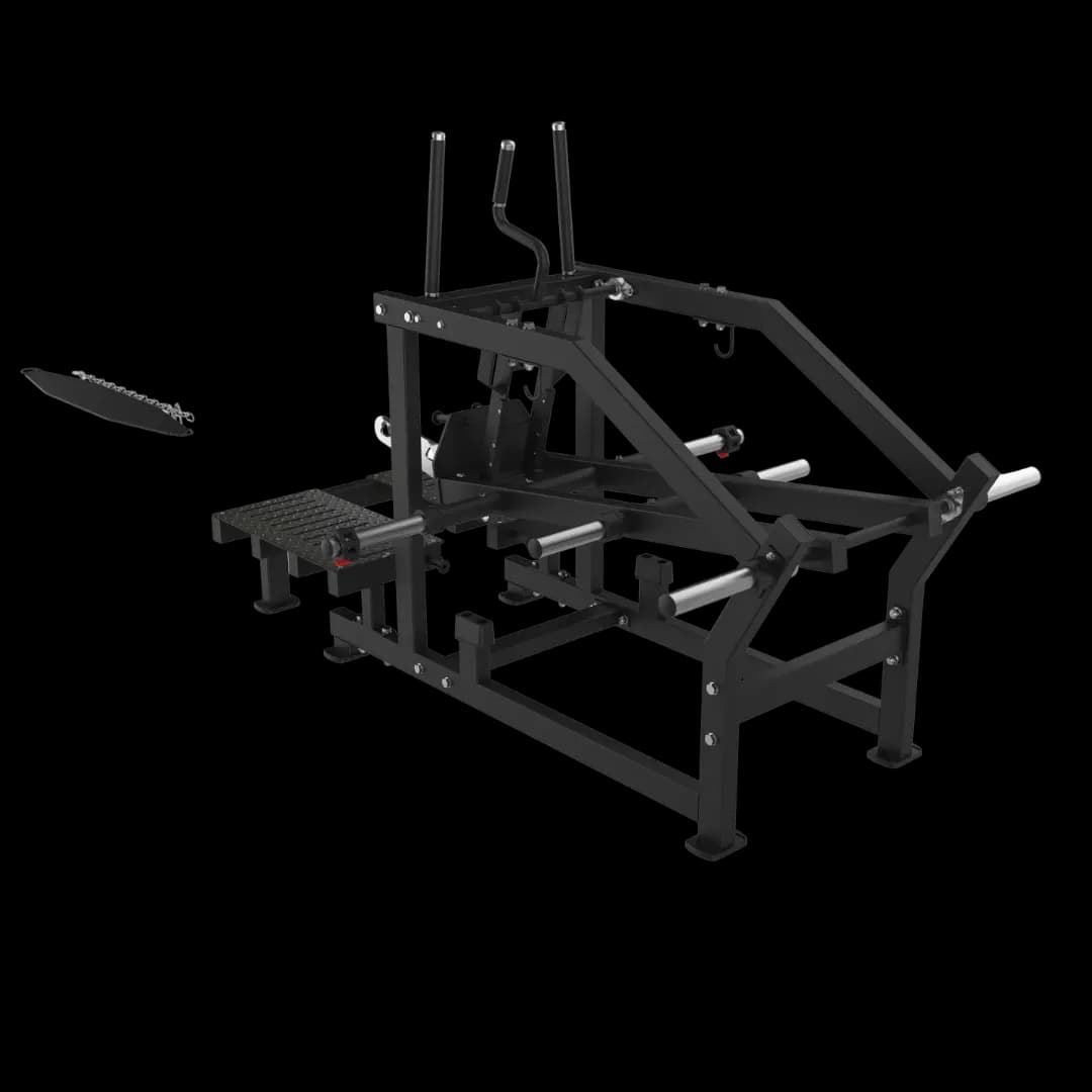 Belt Squat — alternate view