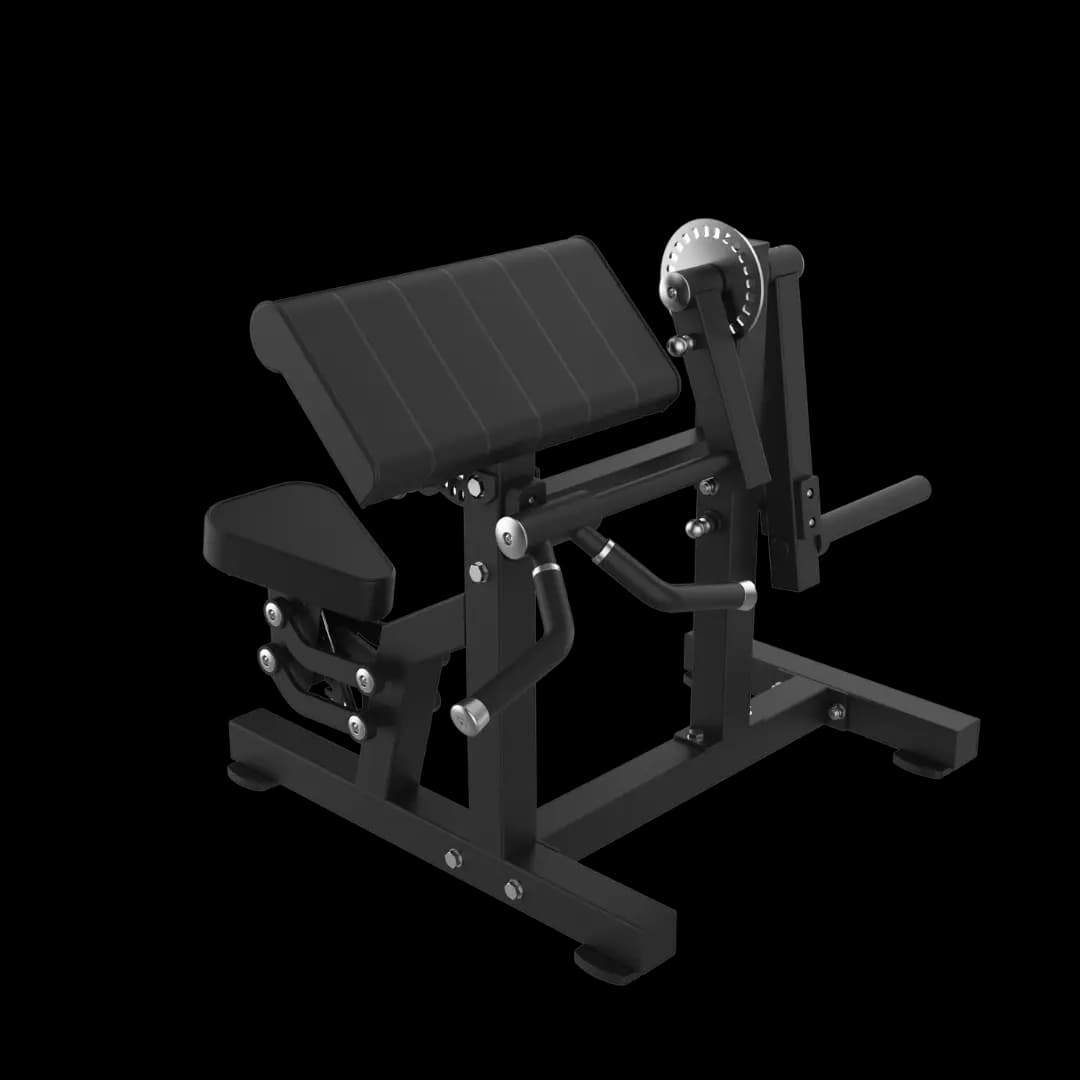 Biceps & Triceps Extension — alternate view