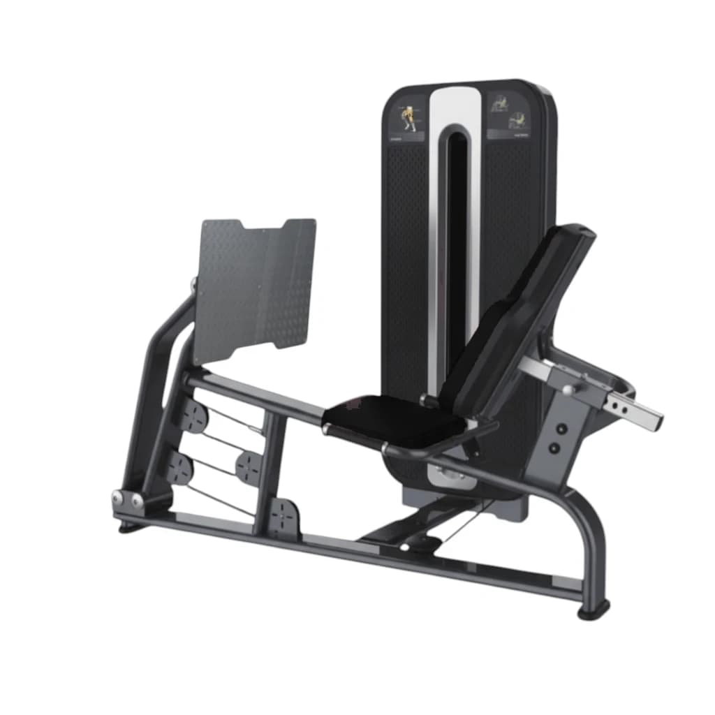 Leg Press — alternate view