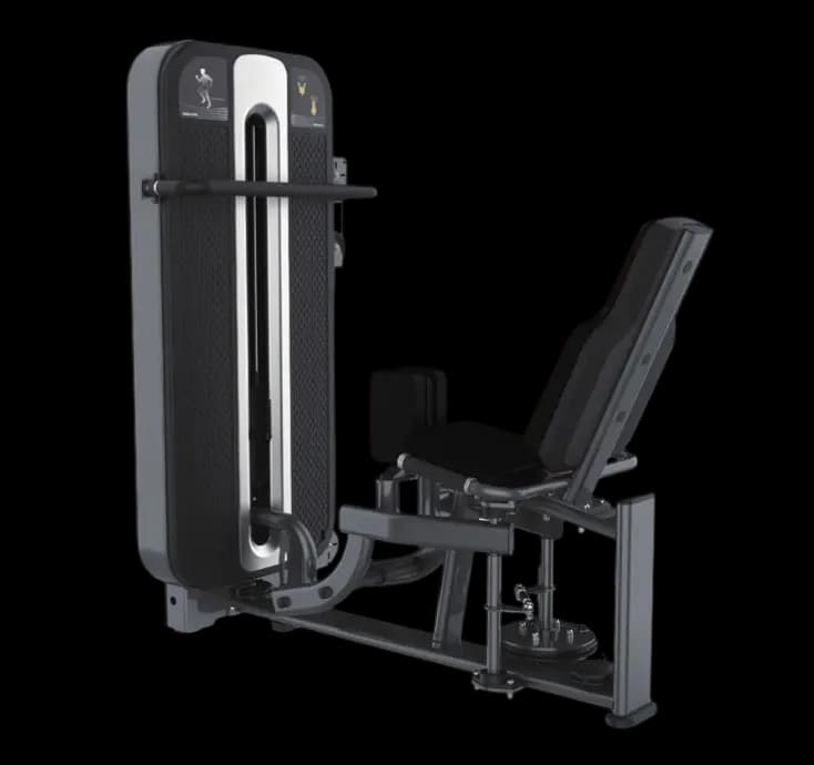 Adductor — alternate view
