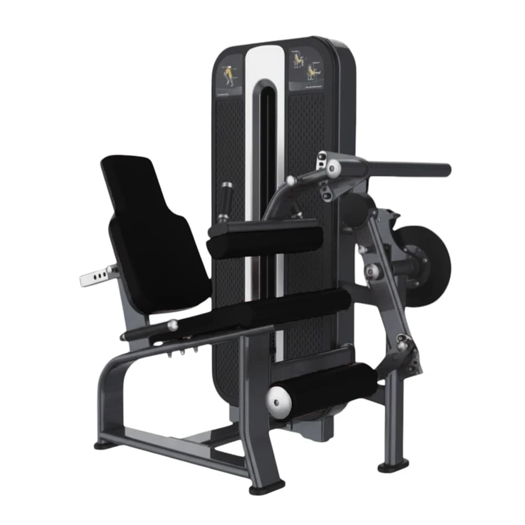 Biceps Curl & Triceps — alternate view