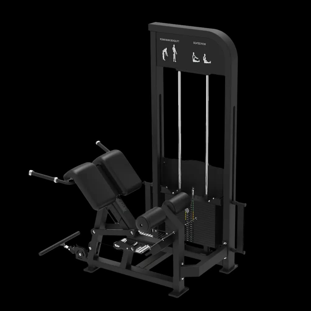 Loaded Back Extension — alternate view