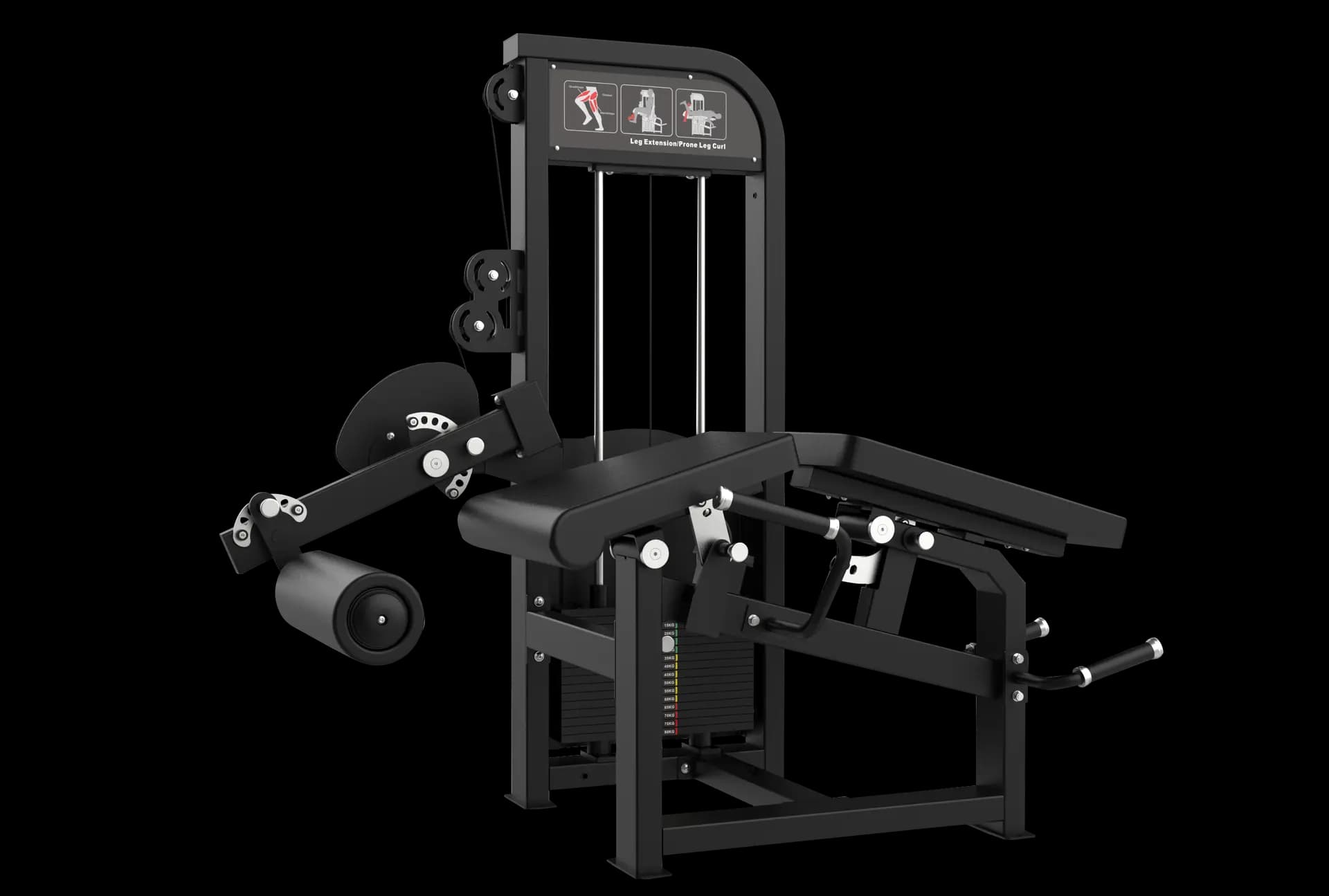 Lying Leg Curl & Extension